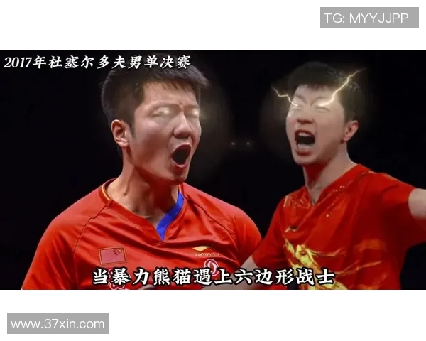 11月22日乒乓球巅峰对决马龙与樊振东谁将赢得荣耀之战