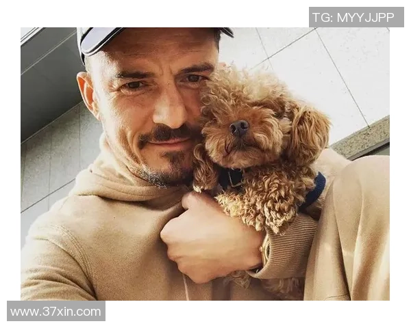 在爱犬失踪后，他决议提早停止合约